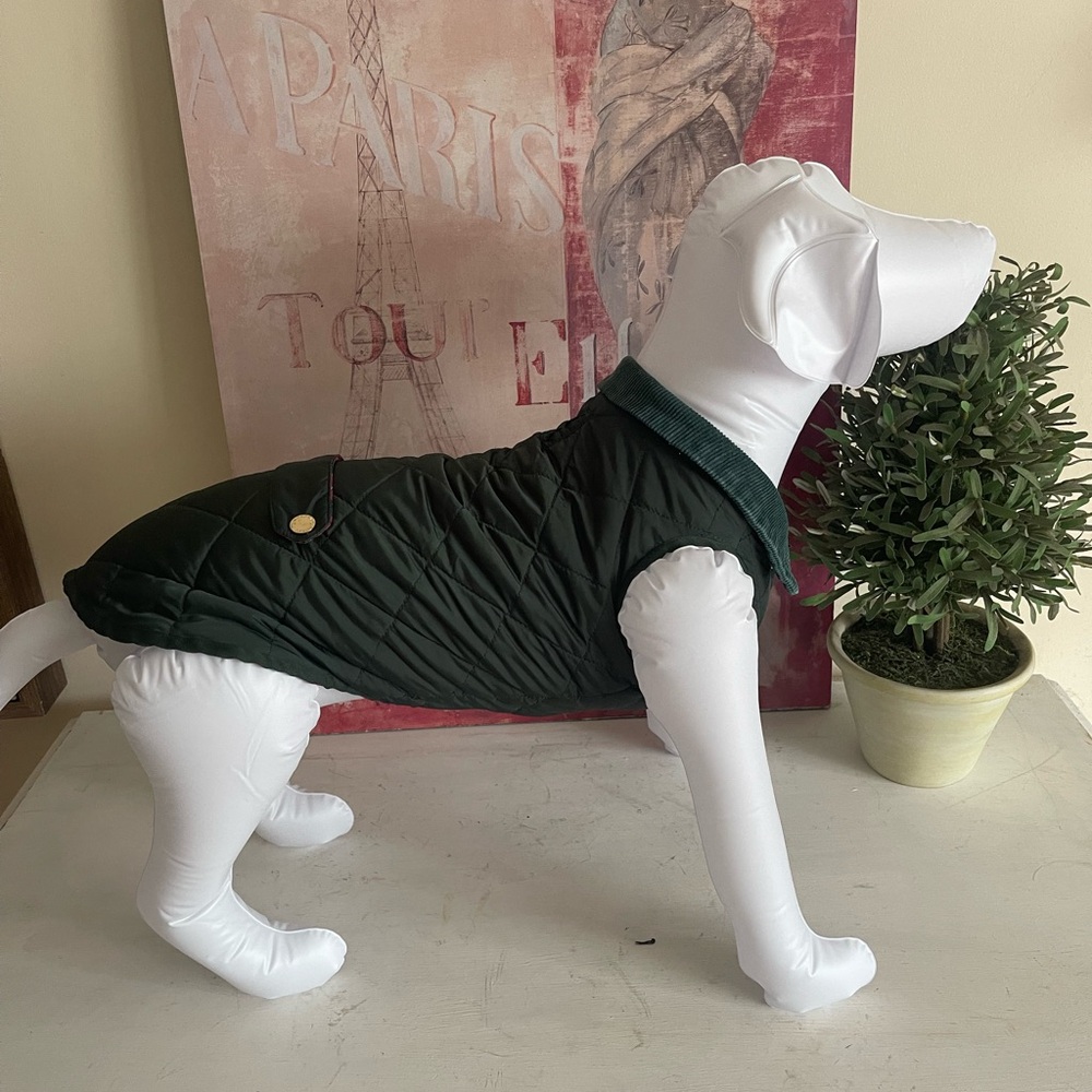C. Wonder Dark Green Quilted Dog Jacket